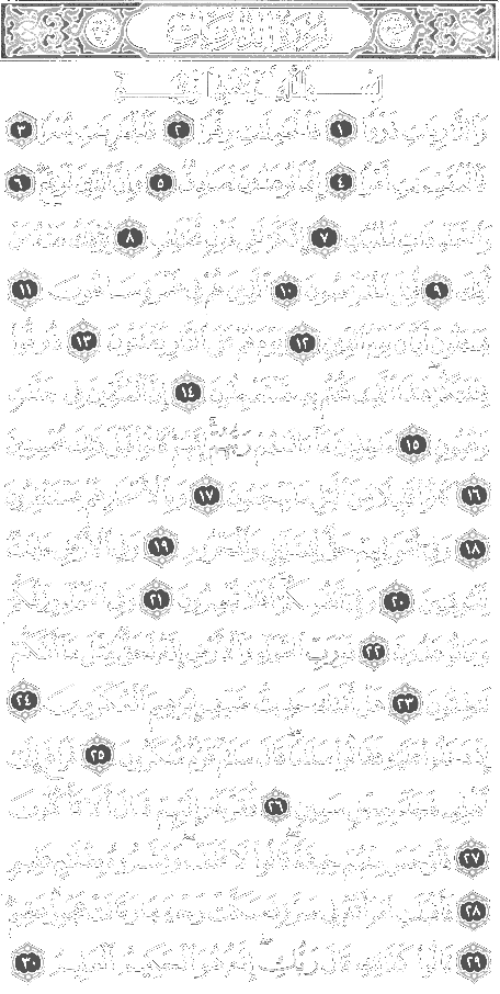 Holy Quran 051 Surah Zariyat